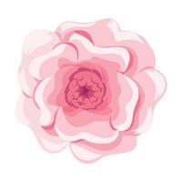 flower vector icon