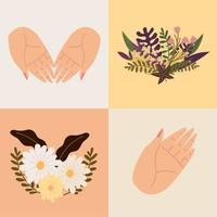 set female hands and flowers vector