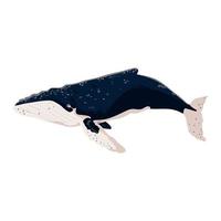 humpback whale icon vector