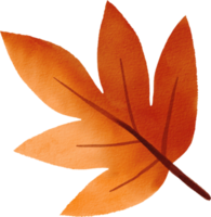 folha de outono desenhada à mão em aquarela png