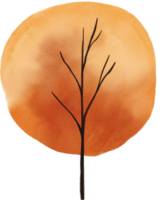 Watercolor autumn tree png