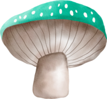 cogumelo colorido aquarela png