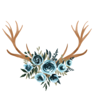 watercolor antler and flower png