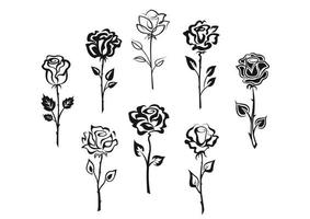 Set of rose flowers vector