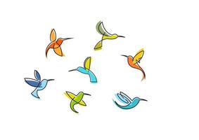 Abstract colorful hummingbirds vector