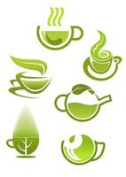 Green tea cups vector