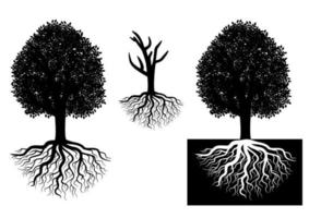 Isolated tree with roots vector