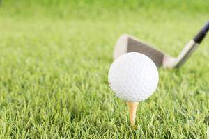 pelota de golf en tee foto