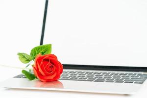 Red rose on laptop on white photo