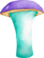 champignon coloré aquarelle png