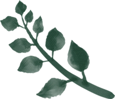 hoja acuarela pintada png