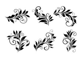 Set of floral design elements vector