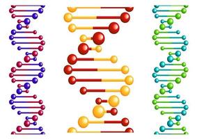 DNA molecule with elements vector