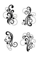 Floral cartouches and flourishes vector