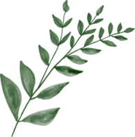 hoja acuarela pintada png