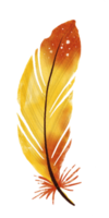 watercolor painted feather png