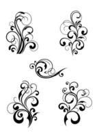 Floral and flourishes vector