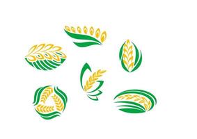 Symbols of cereal plants vector