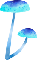 champignon coloré aquarelle png