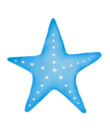 estrella de mar pintada con acuarela png