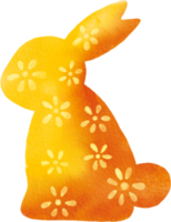 conejo pascua acuarela pintada png