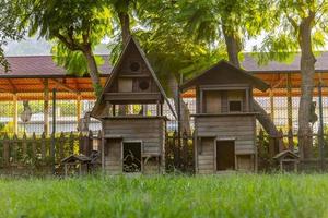 wooden cat house in the garden photo