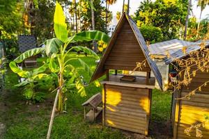 casa de madera para gatos en el jardín foto