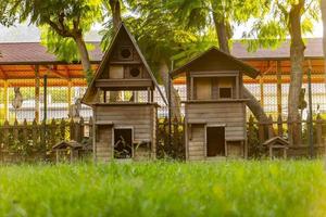 wooden cat house in the garden photo