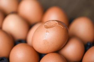 Fresh Chicken eggs with broken egg photo