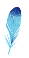 watercolor painted feather png