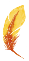 watercolor painted feather png