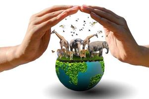 World Animal Day World Wildlife Day  Groups of wild beasts were gathered in the hands of people photo