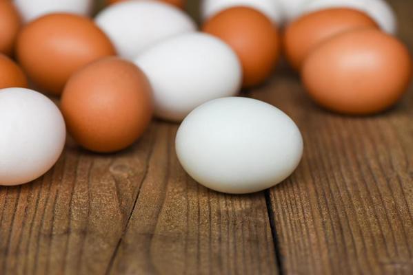 Duck Eggs Stock Photos, Images and Backgrounds for Free Download
