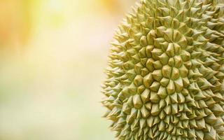 durian skin for texture background - fresh durian fruit photo