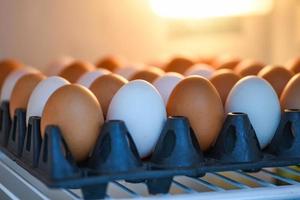 huevos en el frigorífico para guardarlos en la cocina - huevos de gallina frescos y huevos de pato en caja foto