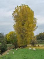 tiempo de otoño en westfalia foto