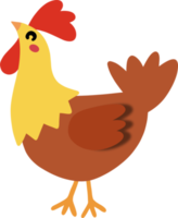 pollo lindo de dibujos animados png