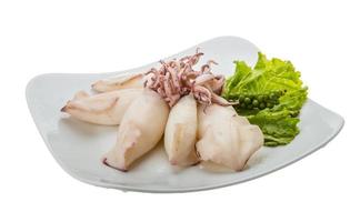 Boiled squid on the plate and white background photo