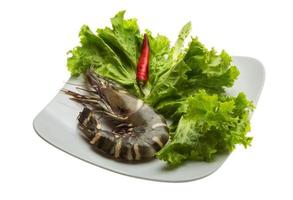 Tiger prawn on the plate and white background photo