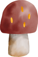 champignon coloré aquarelle png