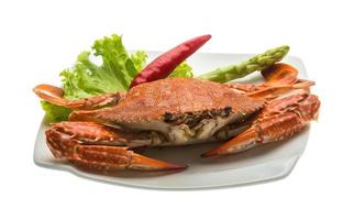 Boiled crab on the plate and white background photo