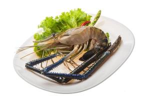 Freshwater prawn on the plate and white background photo