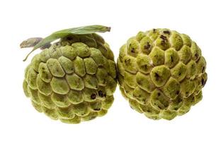 Noni fruit on white background photo