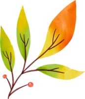 Watercolor Hand drawn Autumn Leaf png