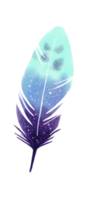 watercolor painted feather png