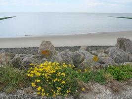 baltrum island in germany photo