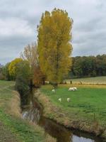 Autumn time in westphalia photo