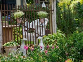 nice garden in germany photo