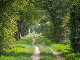 hiking in the german baumberge photo