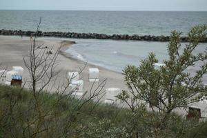 the island of zingst at the baltic sea photo